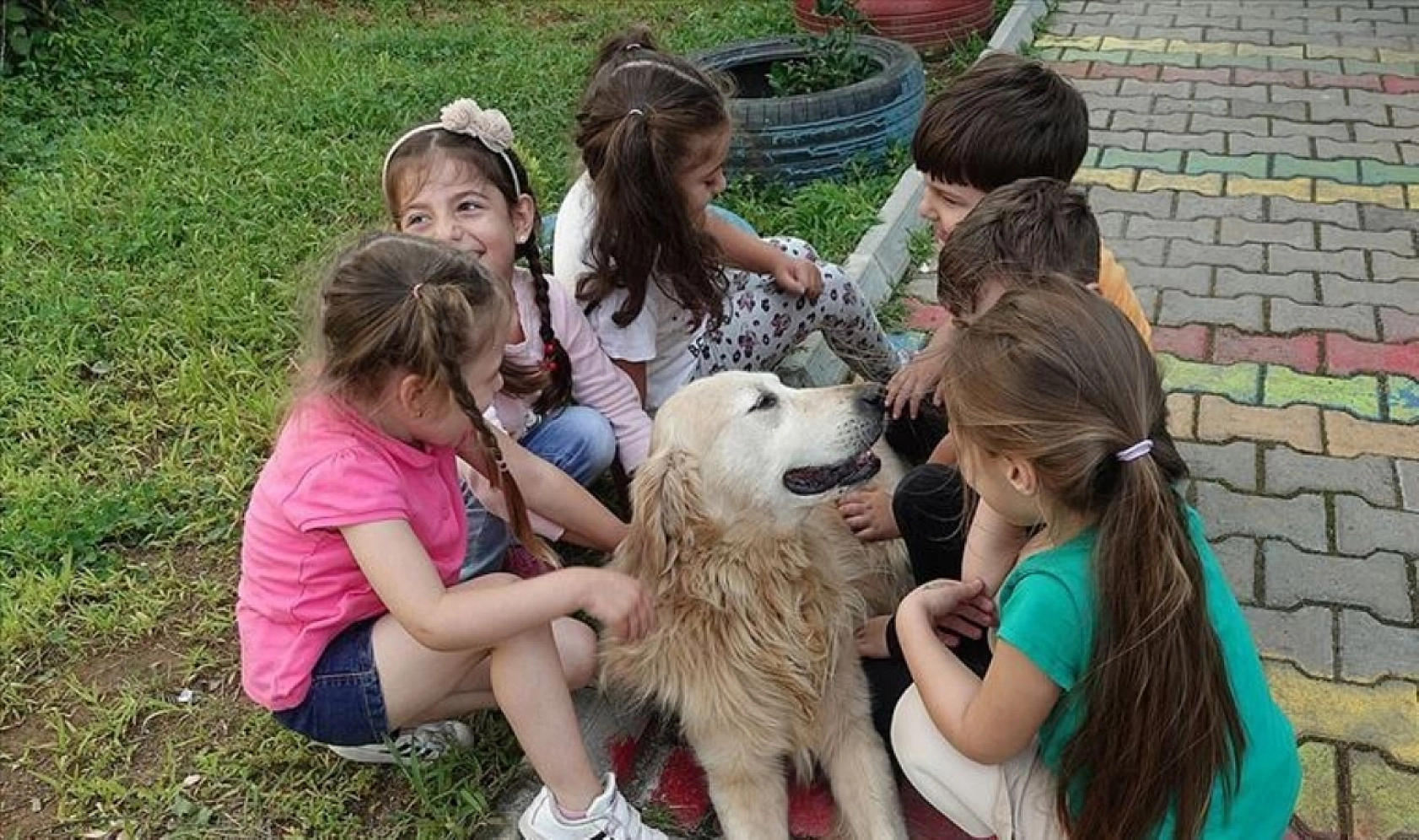 Elazığ'ın Kalbini Fetheden Dostlarımız