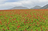 Elazığ'da bugün hava nasıl olacak? (6 Mayıs 2025)