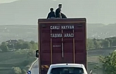 Elazığ'da tehlikeli yolculuk!