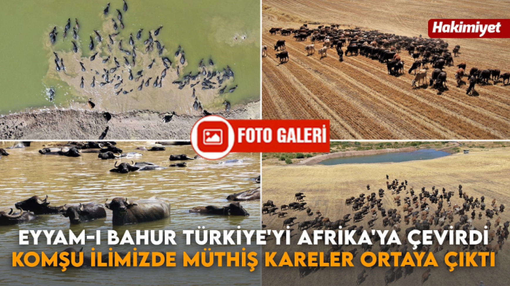 Eyyam-ı Bahur Türkiye'yi Afrika'ya Çevirdi, Komşu İlimizde Müthiş Kareler Ortaya Çıktı