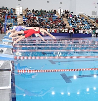 40 il, 17 takım, 431 sporcu: ANALİG Yüzme Türkiye şampiyonası Elazığ'da başlıyor
