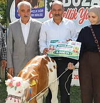 6. Elazığ Tarım, Hayvancılık ve Gıda Fuarı'nda Buzağı Güzellik yarışması
