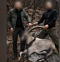 6 yıl sonra ortaya çıktı: yasa dışı yaban keçisi avcılarına ceza