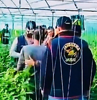 7 yıldır aranan cinayet zanlısı sera bahçesinde yakalandı