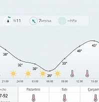 Adana'da son 95 yılın en sıcak günü yaşandı