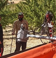 Ağın'da badem üretim alanlarında inceleme ve kontrol yapıldı