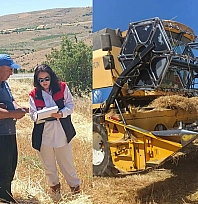 Ağın'da hasat öncesi biçerdöver denetimi