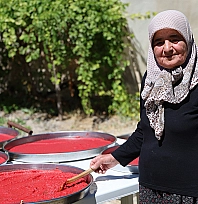 Ağın'da kış hazırlığı: domates salçası tepsilerde güneşte olgunlaşıyor