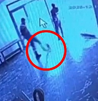 Alacakaya'da kediyi tekmeleyen personel sosyal medyanın tepkisini çekti