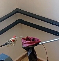 Apartmana giren yılan paniğe neden oldu