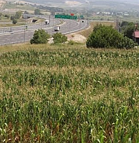 Arsa alacaklara müjde! Fiyatlar 310 bin TL'den başlıyor