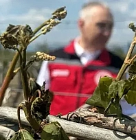 Bakan Yumaklı'dan çiftçiye sevindiren haber