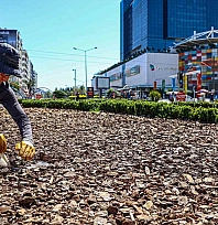 Bakan Yumaklı: 'Kurakçıl Peyzaj ile suyu ve doğayı koruyoruz'