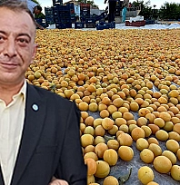 Başkan Arslan: Baskil Kayısısı yok sayılıyor, 'Utanç verici'