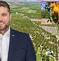 Baskil Kayısısı'nın size ne zararı var?