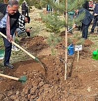 Bingöl'de Milli Ağaçlandırma Günü etkinliklerinde 25 bin fidan dikildi
