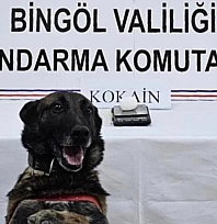 Bingöl'de uyuşturucu operasyonu: 1 kişi tutuklandı