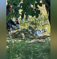 Bir kişi ağaçlık alanda ölü bulundu