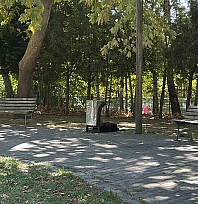 Cami parkındaki bankta şüpheli ölüm