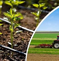 Çiftçilere müjde! Bakanlıktan 237 milyon TL destek