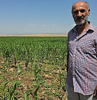 Çiftçinin emeği tehlikede