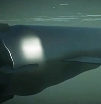 Çin, Pasifik'i aşabilecek dev insansız denizaltıları test ediyor