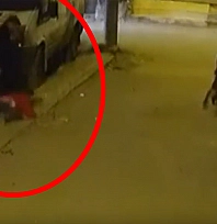 Çocuğa şiddette korkunç anlar: Arabaya çarpıp yere fırlattı