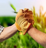 Destek ödemeleri bugün başladı