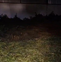Diyarbakır'da dev uyuşturucu operasyonu