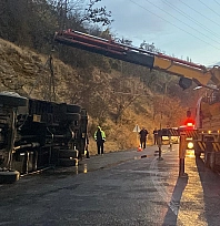 Elazığ'a seyir halindeki canlı hayvan yüklü çekici Erzincan'da devrildi: 2 hayvan yaralandı