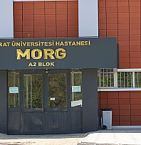 Elazığ'a üzüm almaya gitti, yaşamını yitirdi