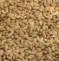 Elazığ bademinde hasat bereketi