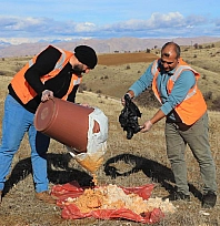 Elazığ Belediyesi doğaya yem bıraktı