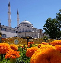 Elazığ Belediyesi'nin ürettiği çiçekler, kent görselliğine değer kazandırıyor
