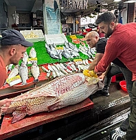 Elazığ'da 82 kiloluk balığı 2 kişi yiyecek