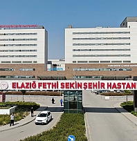 Elazığ'da acı olay: Polis memuruna çarpan sürücü tutuklandı