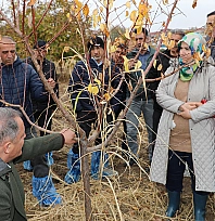 Elazığ'da ağaç budama ve aşılama eğitimi