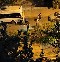 Elazığ'da ağaç devrildi!