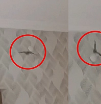 Elazığ'da akıllara durgunluk veren olay: Klimanın içinden çıkanlar şok etti