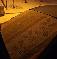 Elazığ'da araçlar dondurucu soğuğa kilimle korunuyor