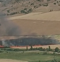 Elazığ'da arazi yangını!
