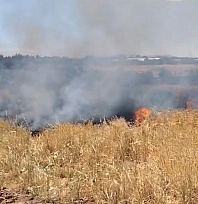 Elazığ'da arazi yangını!