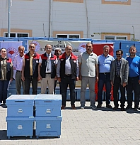 Elazığ'da arıcılığa destek: 15 Üreticiye 150 kovan dağıtıldı