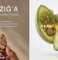 Elazığ'da atıl arazilere badem fidanı hamlesi
