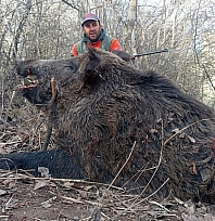 Elazığ'da avlandı, görenler aslan sandı
