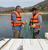 Elazığ'da baraj göllerinde istilacı türler inceleniyor