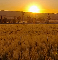 Elazığ'da bugün hava durumu (21 Ocak 2026)