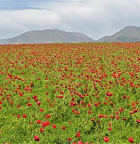 Elazığ'da bugün hava nasıl olacak? (27.10.2025)