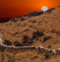 Elazığ'da bugün hava nasıl olacak? (18.11.2025)