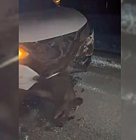 Elazığ'da cip domuza çarptı: 1 Hayvan telef, araç hasarlı